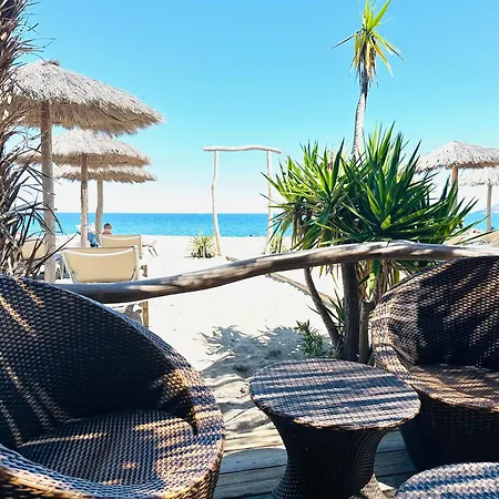 Toppyholidays De Pujol In Argele's-sur-mer